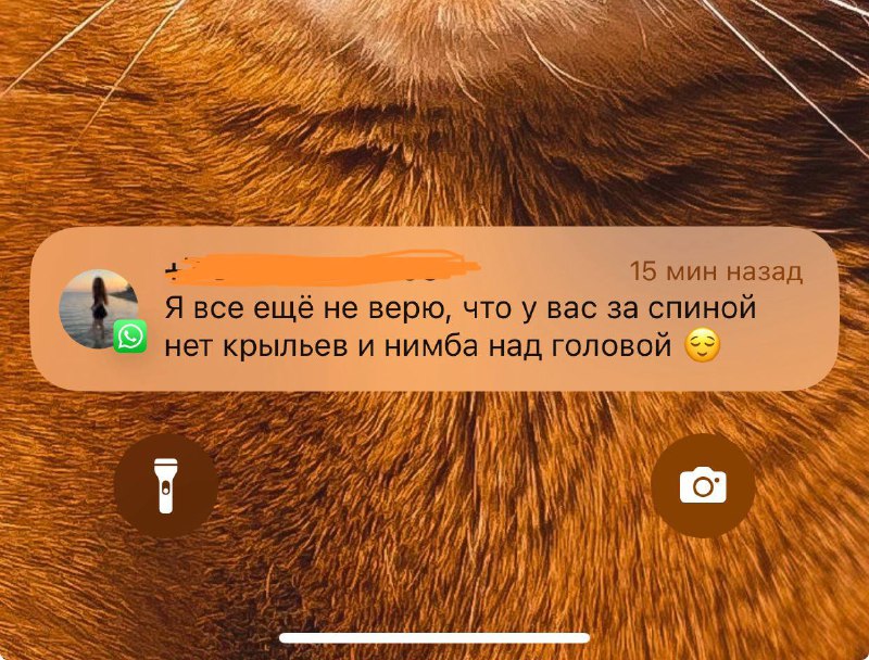 Приятности ***🥰***