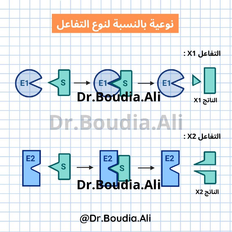 **التخصص النوعي المزدوج :** يمتلك الانزيم …