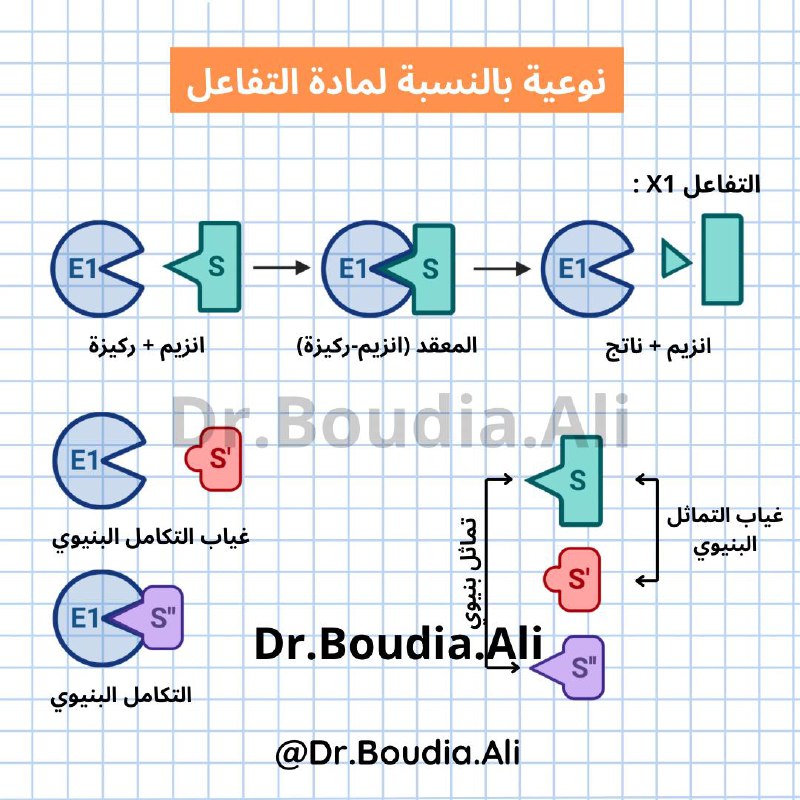 **التخصص النوعي المزدوج :** يمتلك الانزيم …