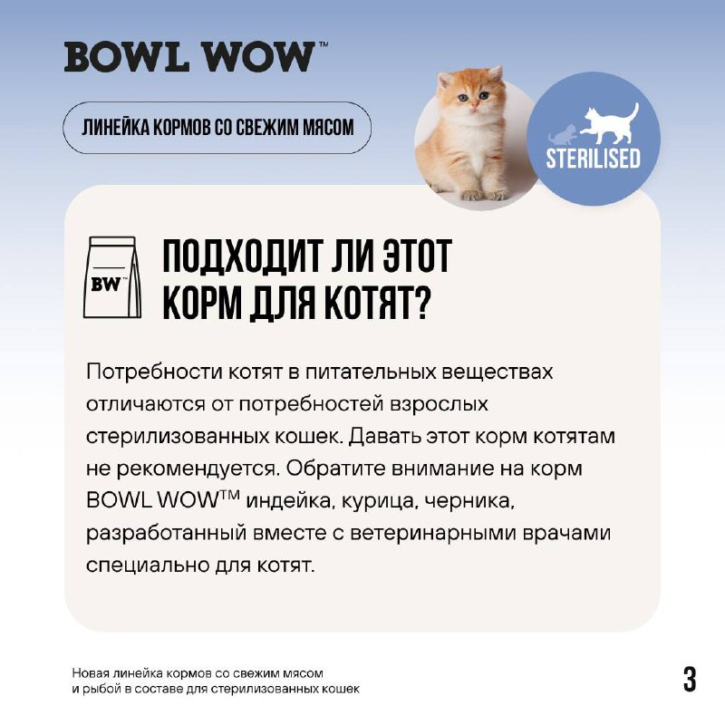 BOWL WOW ♡ корма для кошек …