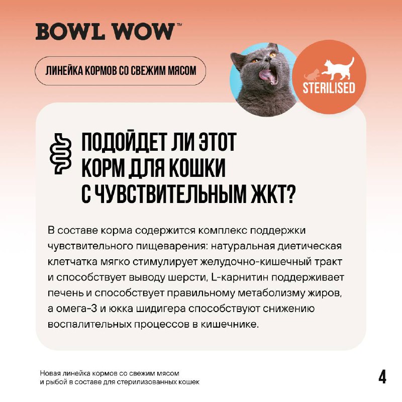 BOWL WOW ♡ корма для кошек …