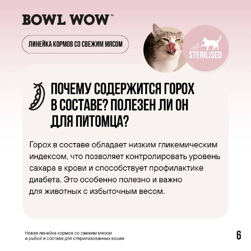 BOWL WOW ♡ корма для кошек …