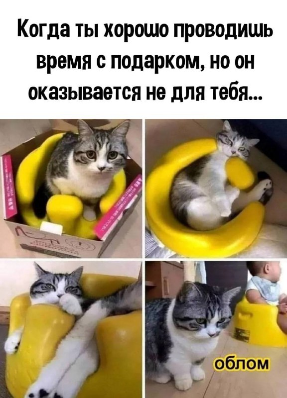 Эх, опять.