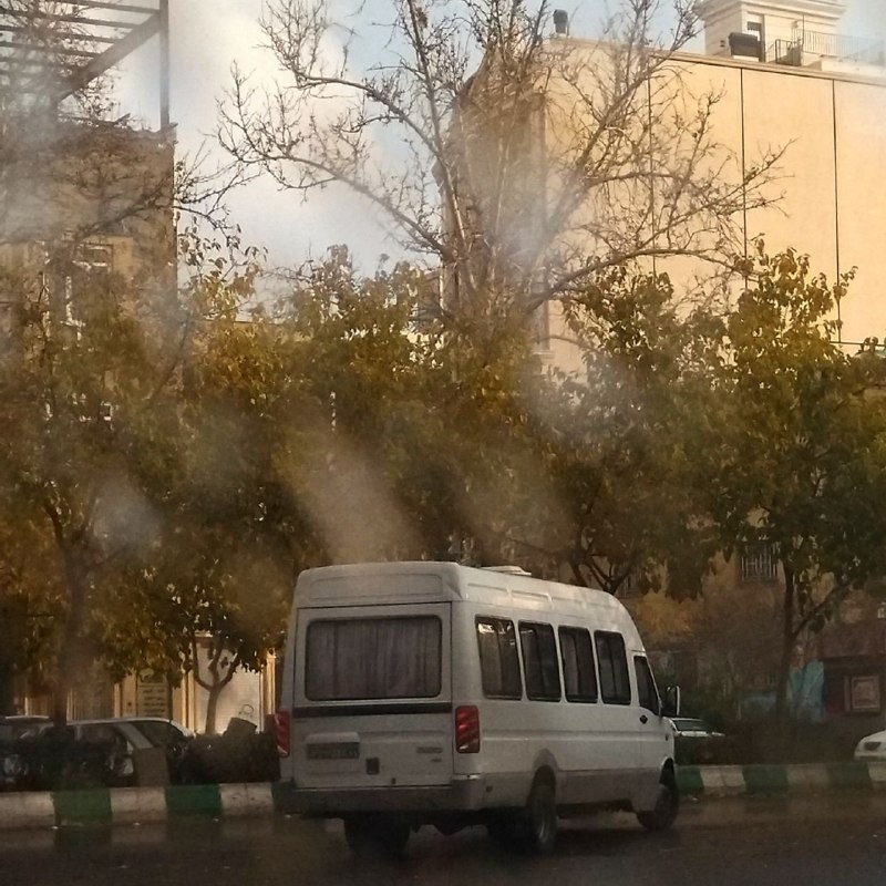 سبز زیتونی.