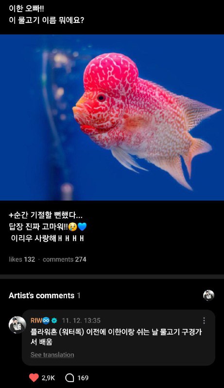 241112 [ [#RIWOO](?q=%23RIWOO) ] Weverse ***💬***