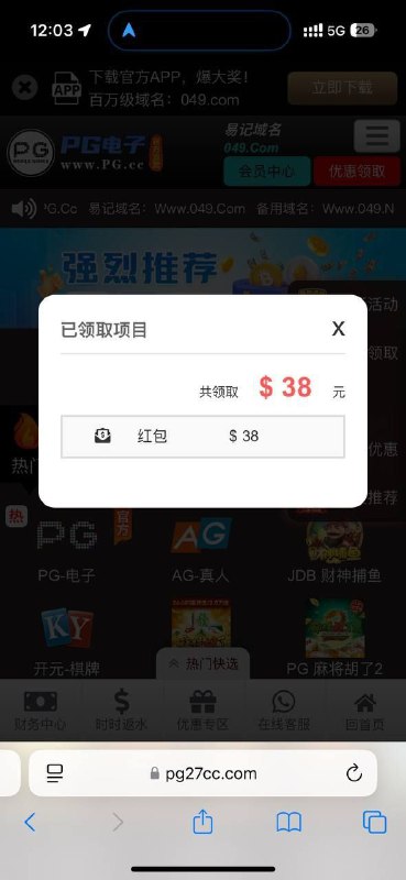 项目名称：pg1电子回访彩金
