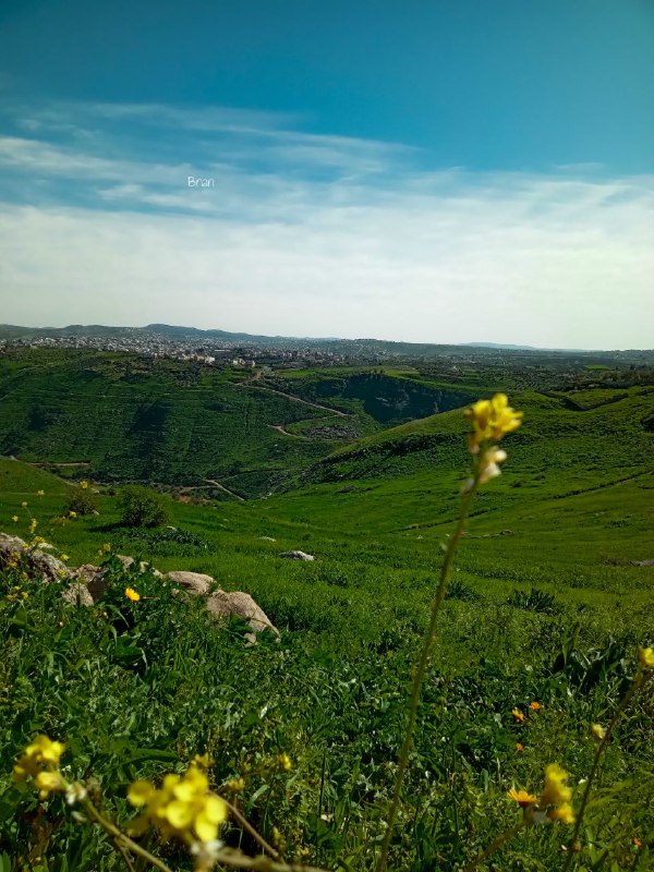 بقاء