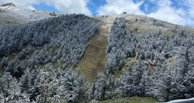 Bolu'da mayıs ayının ortasında yağan karla …