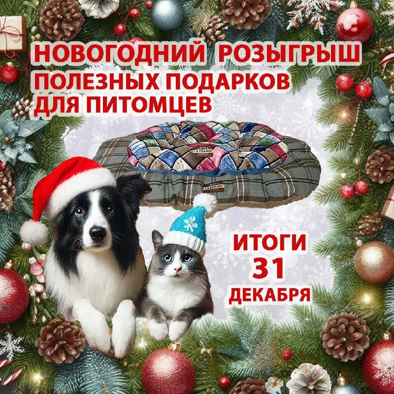 ​​​​​***🥳***​Спасибо всем, кто был с каналом …