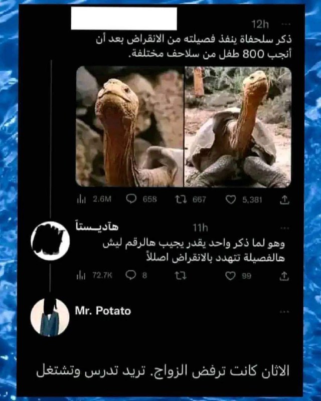 🎉فرفشة نكت😂🎊