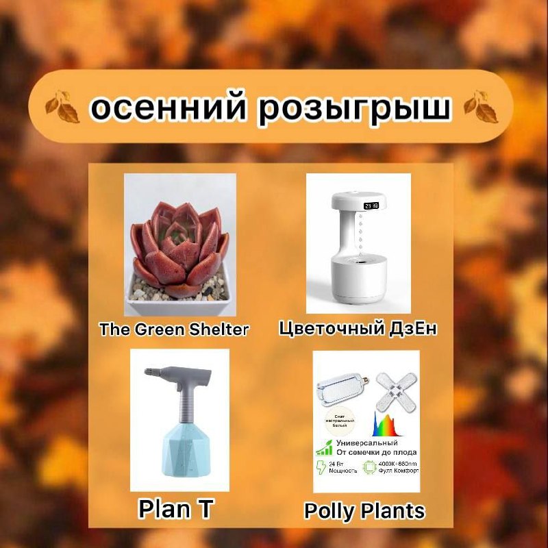 ***🍂******ОСЕННИЙ РОЗЫГРЫШ******🍂***