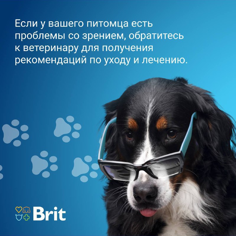 Brit Premium | Корм для собак …