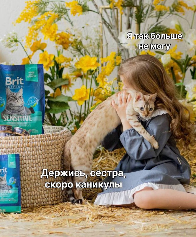 Brit Premium | Корм для собак …