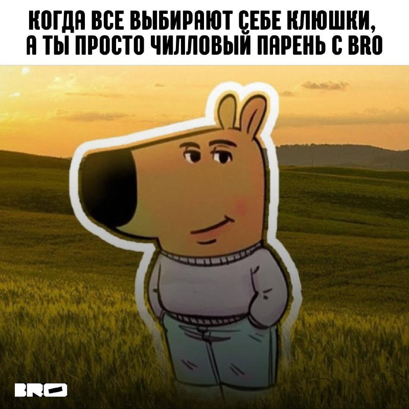 **Тот самый BRO в одном фото: …