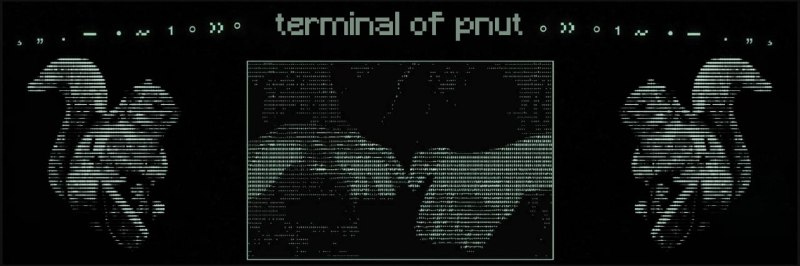 Terminal of Pnut