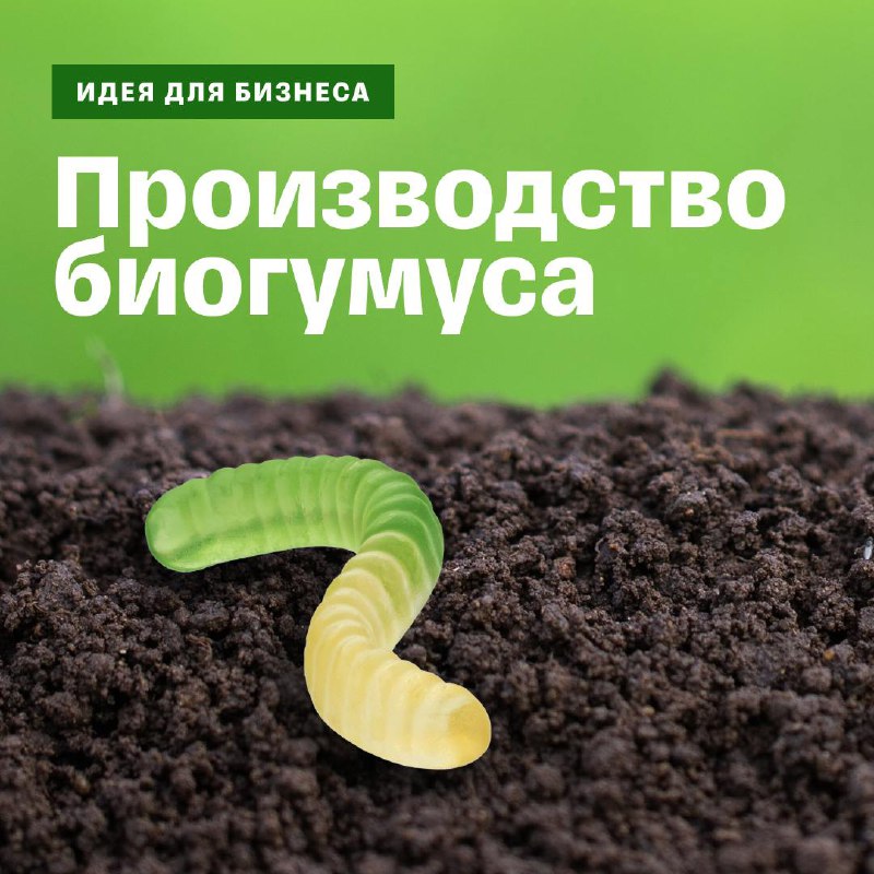 ***🌱*** **Экобизнес на производстве компоста**