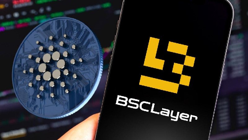 BSC Layer mobile application is coming …