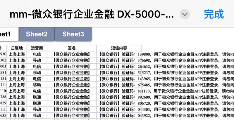 短信验证码数据格式