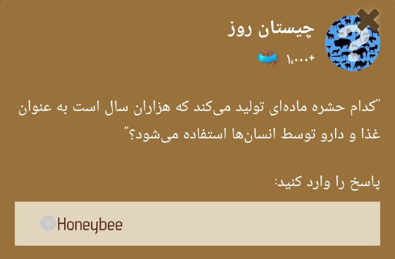 **پاسخ به چیستان زوو Zoo** ***ℹ️***