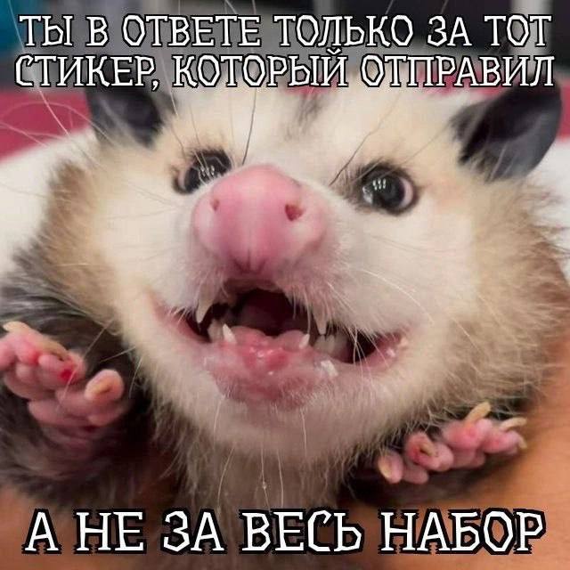 Буддийский юмор
