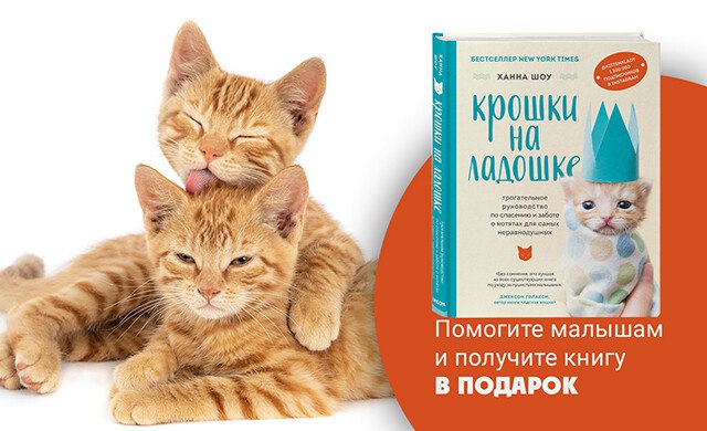 Друзья! Мы, фонд «Кошка ветра», запускаем …