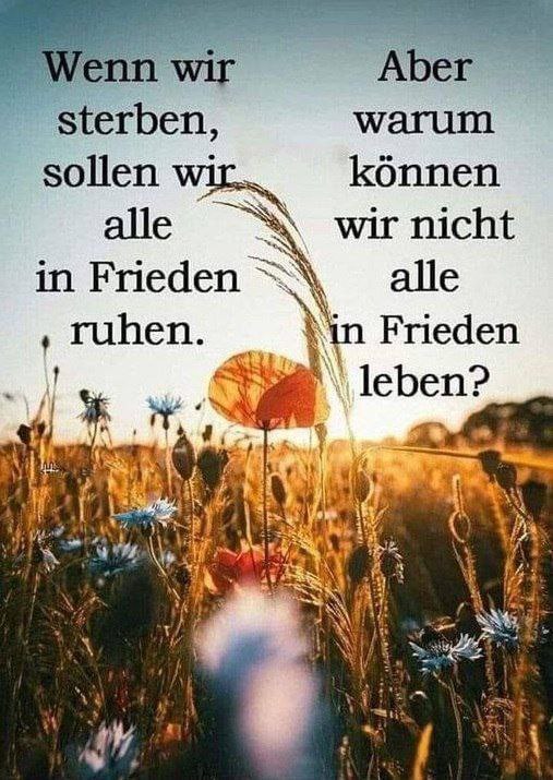 Und damit guten Morgen ***☺️***