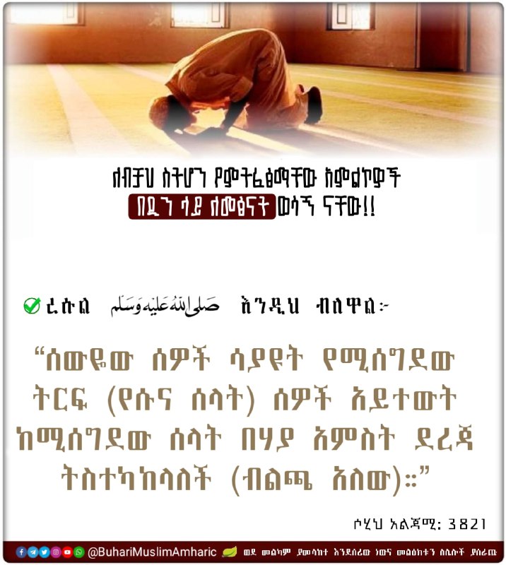 ***💡***ለብቻህ ስትሆን የምትፈፅማቸው አምልኮዎች በዲን ላይ …