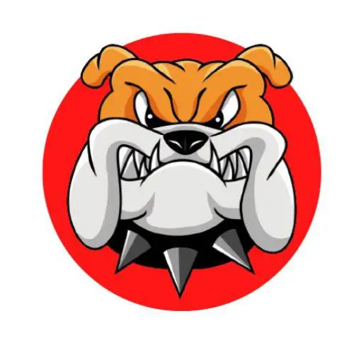 BULLDOG INU - The Dog Bully …