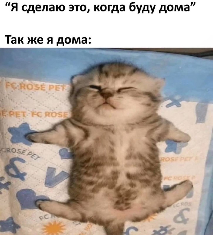 Булочка с корицей