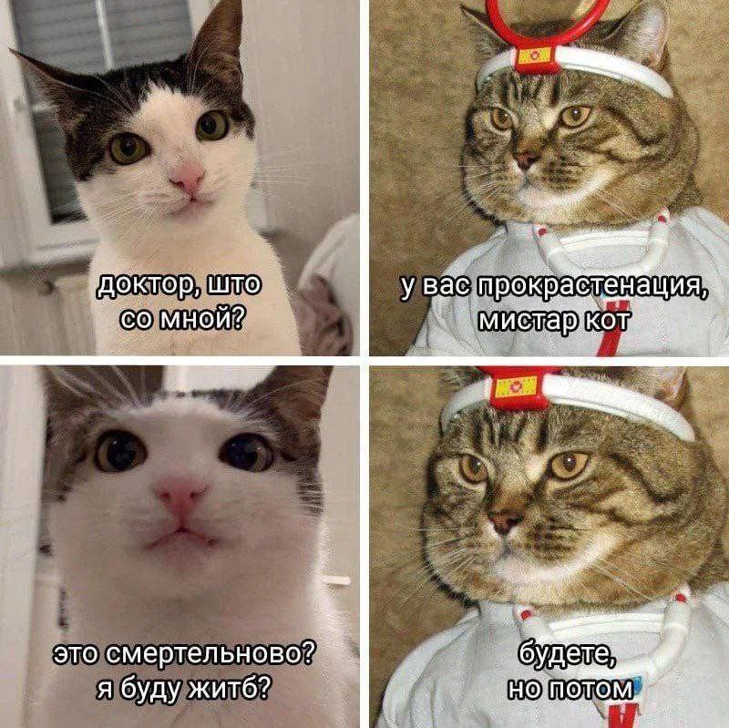 Булочка с корицей