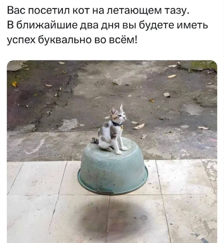 [Свет в твоём Дне](https://t.me/dnoswet)