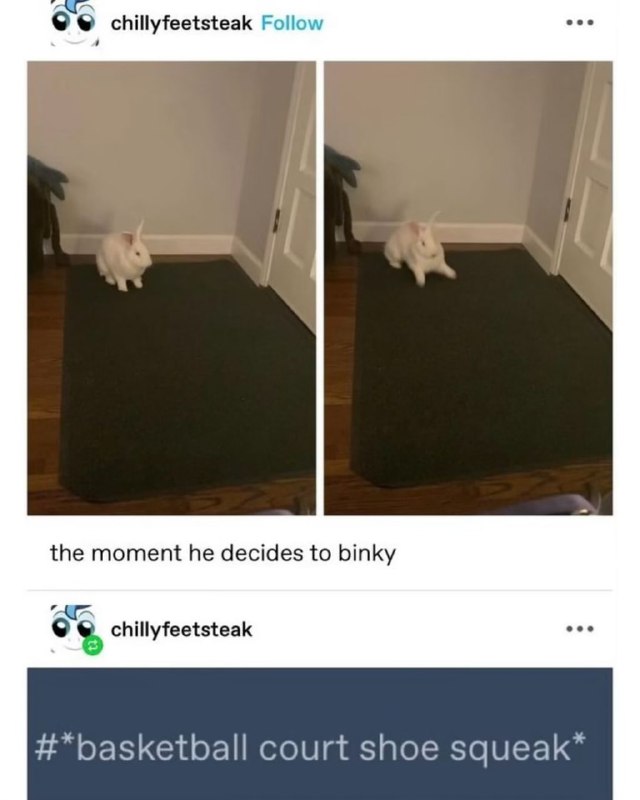 Soft Bunnyposting of Wonders