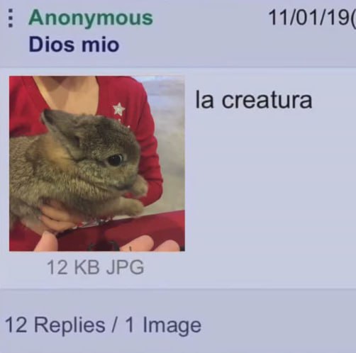 Soft Bunnyposting of Wonders