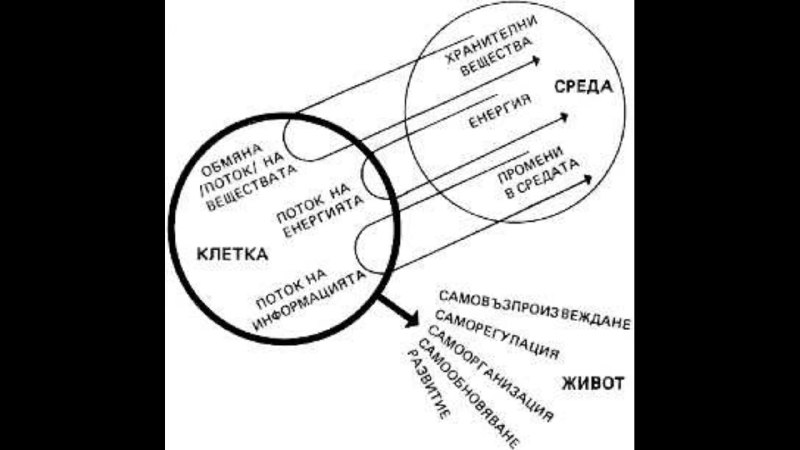 Говорим за това колко малка е …