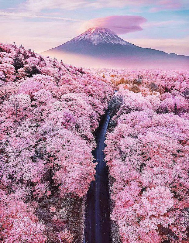 **Mount Fuji, Japan ***🇯🇵*****