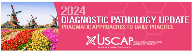 **2024 Diagnostic Pathology Update: Pragmatic Approaches …