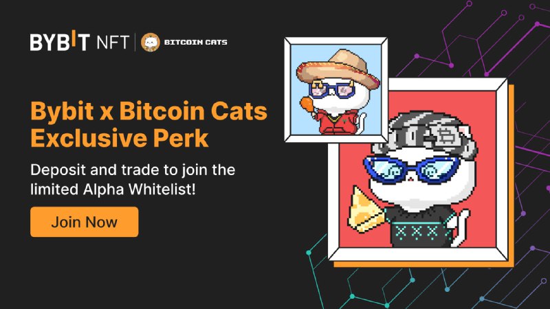 *****?*** Bybit Web3 x Bitcoin Cats …