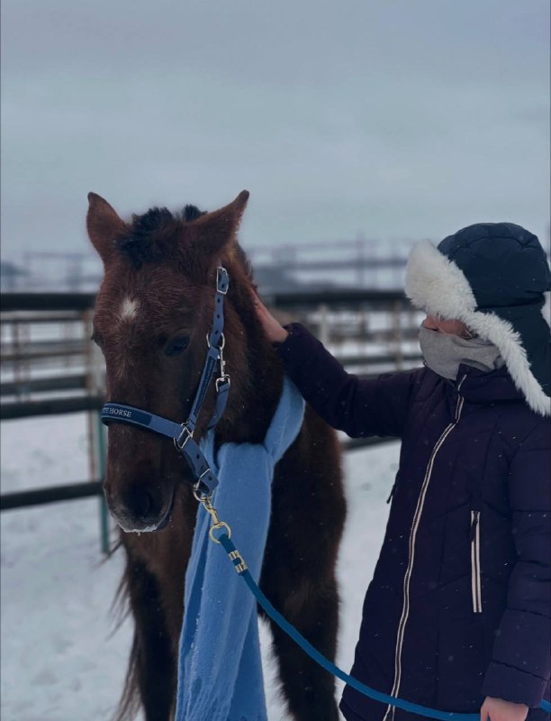 Будни Конника🐎💗🤙🏻
