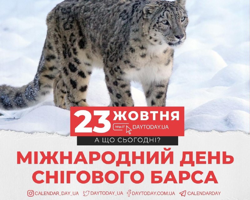 *****🗓*** 23 жовтня, середа**