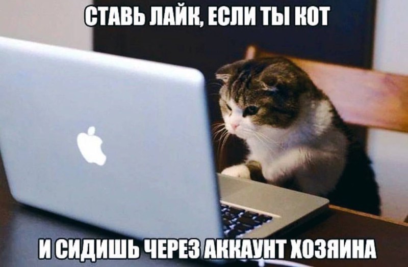welcome to my room