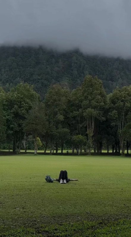 نوڤمبر.