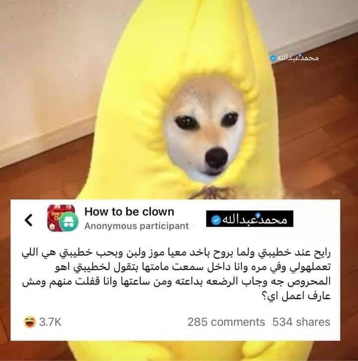 ***?******?******?******?******?***