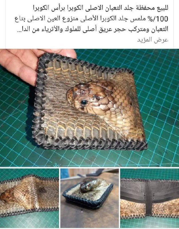 تمد ايدك في جيبك وانت في …