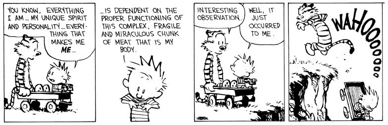 Calvin & Hobbes | Comics