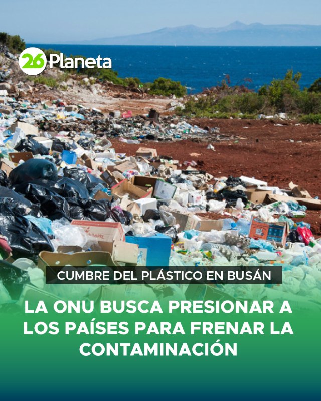 ***?*** ONU | SE REALIZÓ LA …