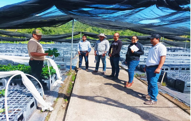 MARENA realiza inspección al vivero “La …