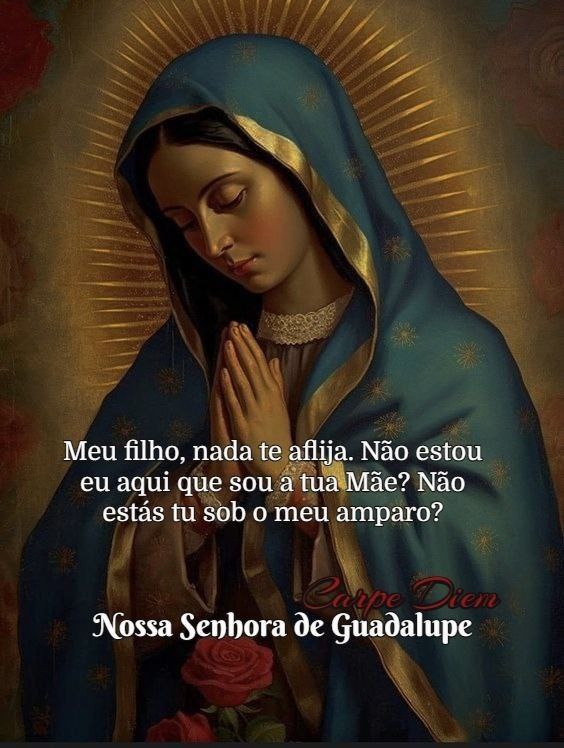 boa noite joaninhos