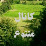 شب و دلتنگی واین