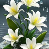 ***?******?******?***مع اقتراب نهاية 2024 ***?******?******?***