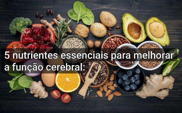 **5 nu**trientes essenciais para alimentar suas …